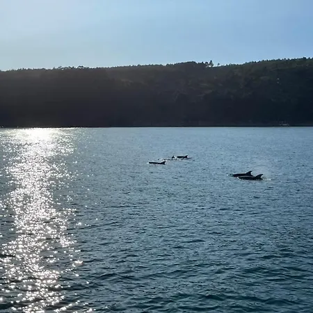 Casa Arealonga * ויגו