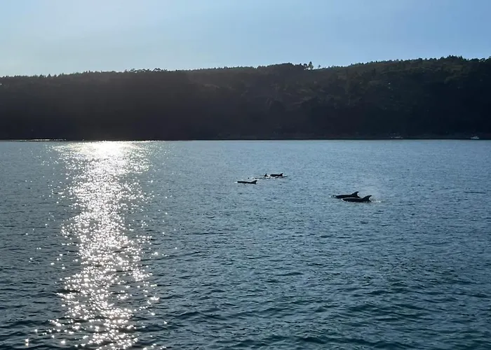 Casa Arealonga * ויגו